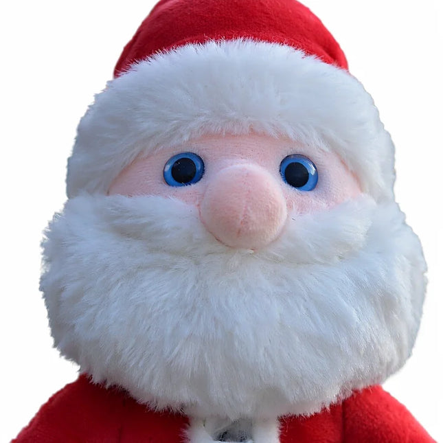 Santa Claus Mascot Costume