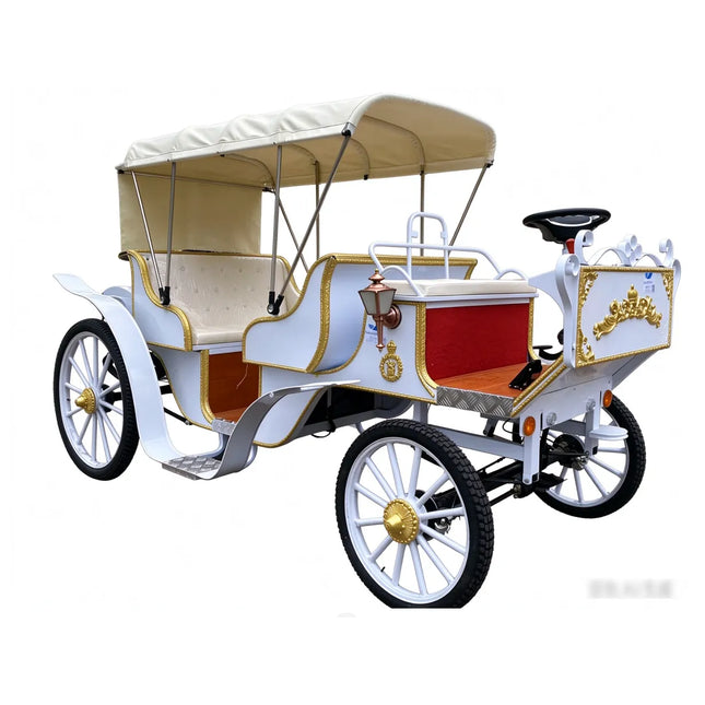 European Horse-Drawn Double Row Carriage